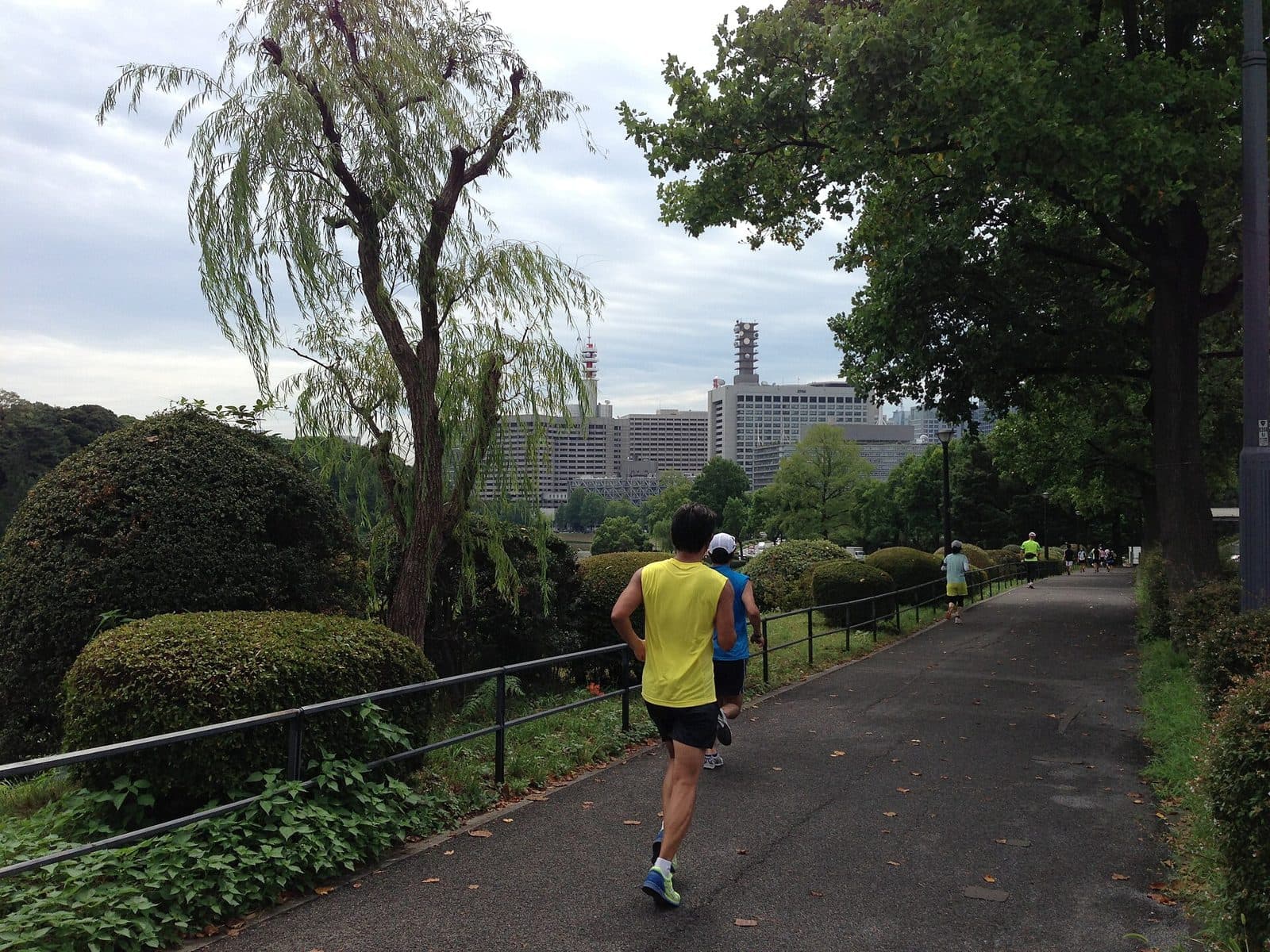Japanese Activewear Brands: Running, Gym and Daily Wear
