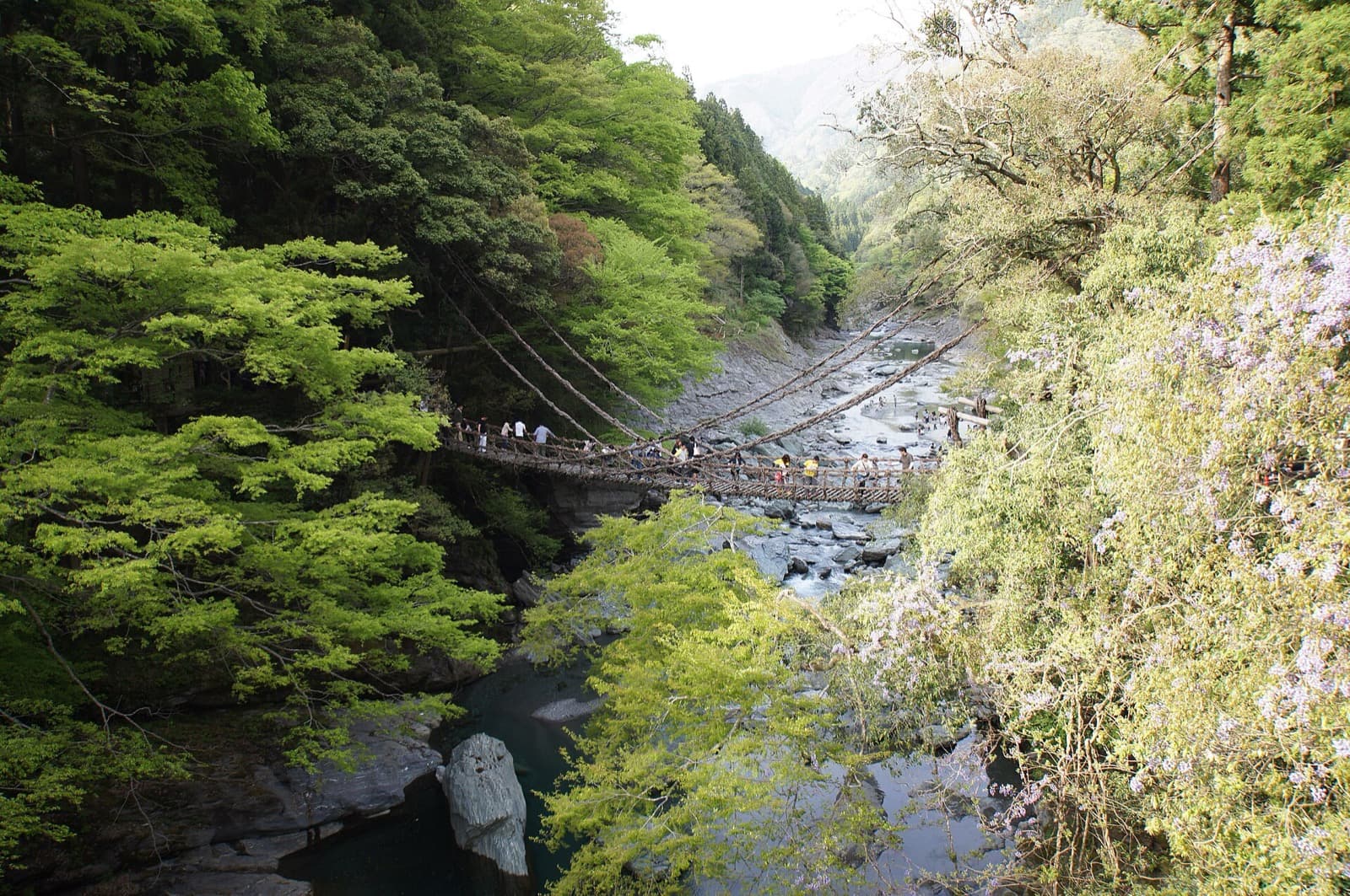 The Kazurabashi vine bridge over the river in the Iya Valley
