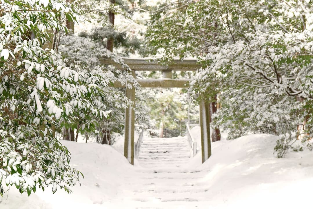 Japan In January Japan in January 2027: Weather, New Year Crowds, Ski, and What to Do