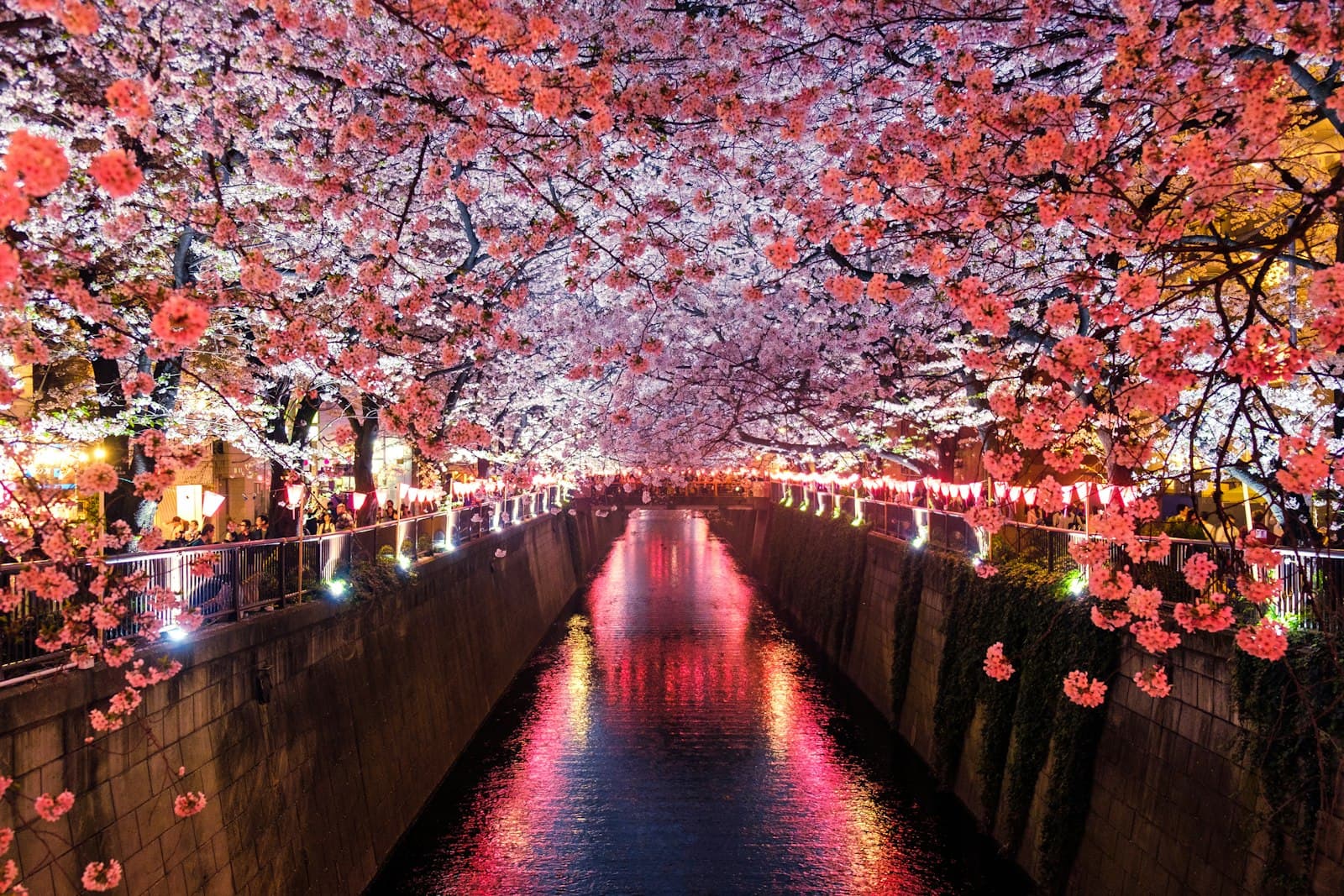 Best Winter Onsen Near Tokyo 2026: Day Trips and Overnight Picks