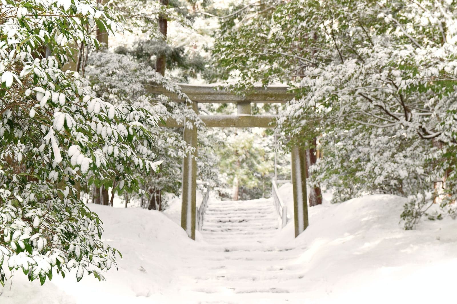 Japan in February 2027: Weather, Plum Blossoms, Ski, Crowds