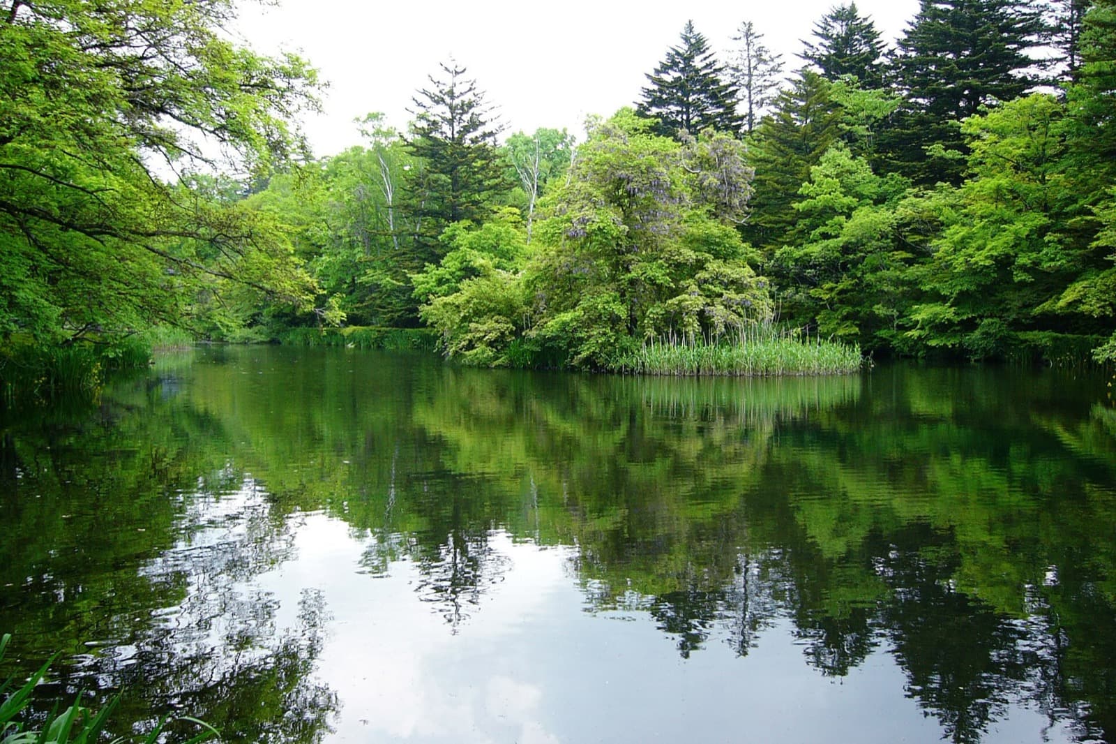 Kumoba Pond is best early