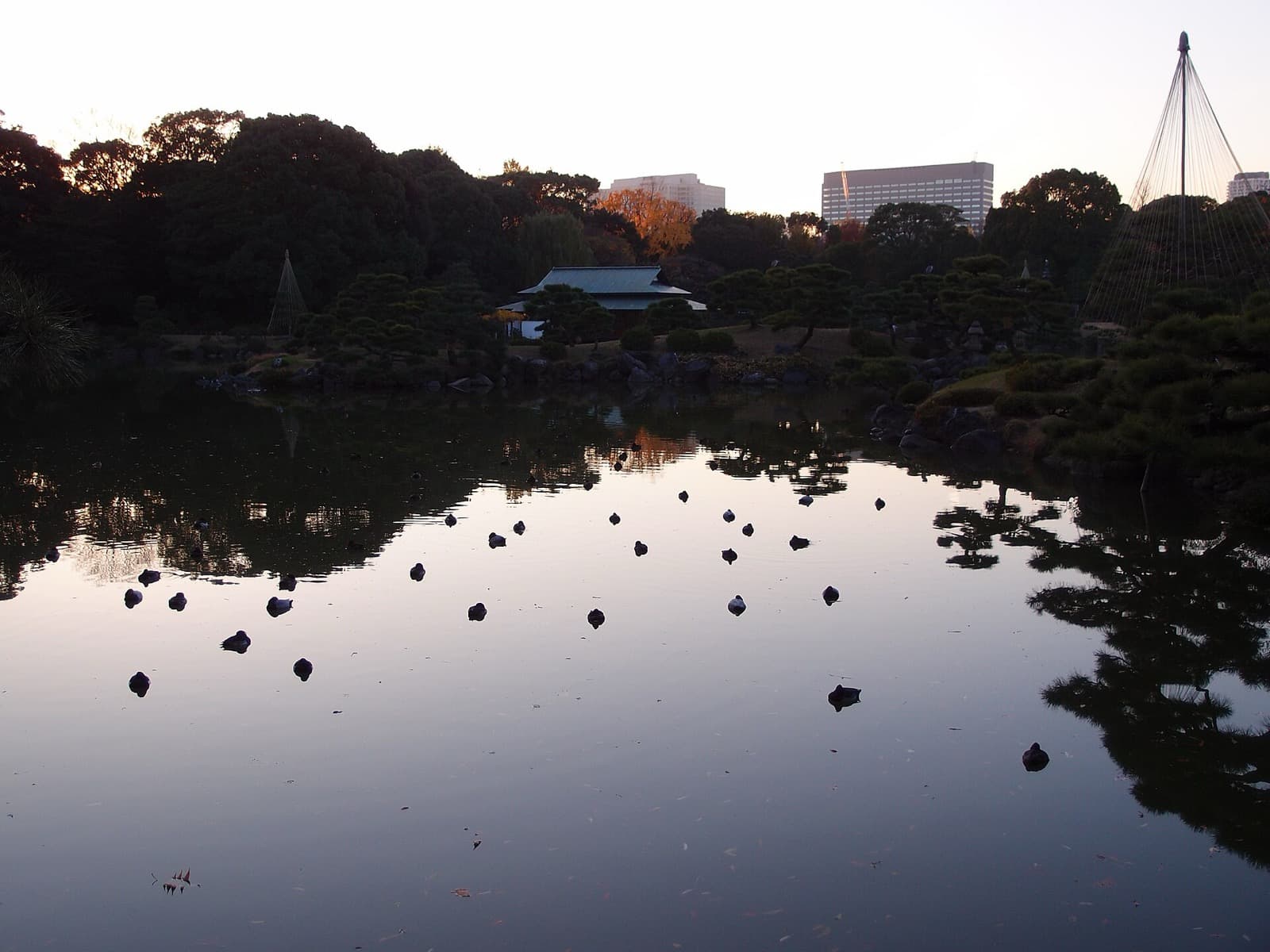 The pond at Kiyosumi Garden in Tokyo at dusk