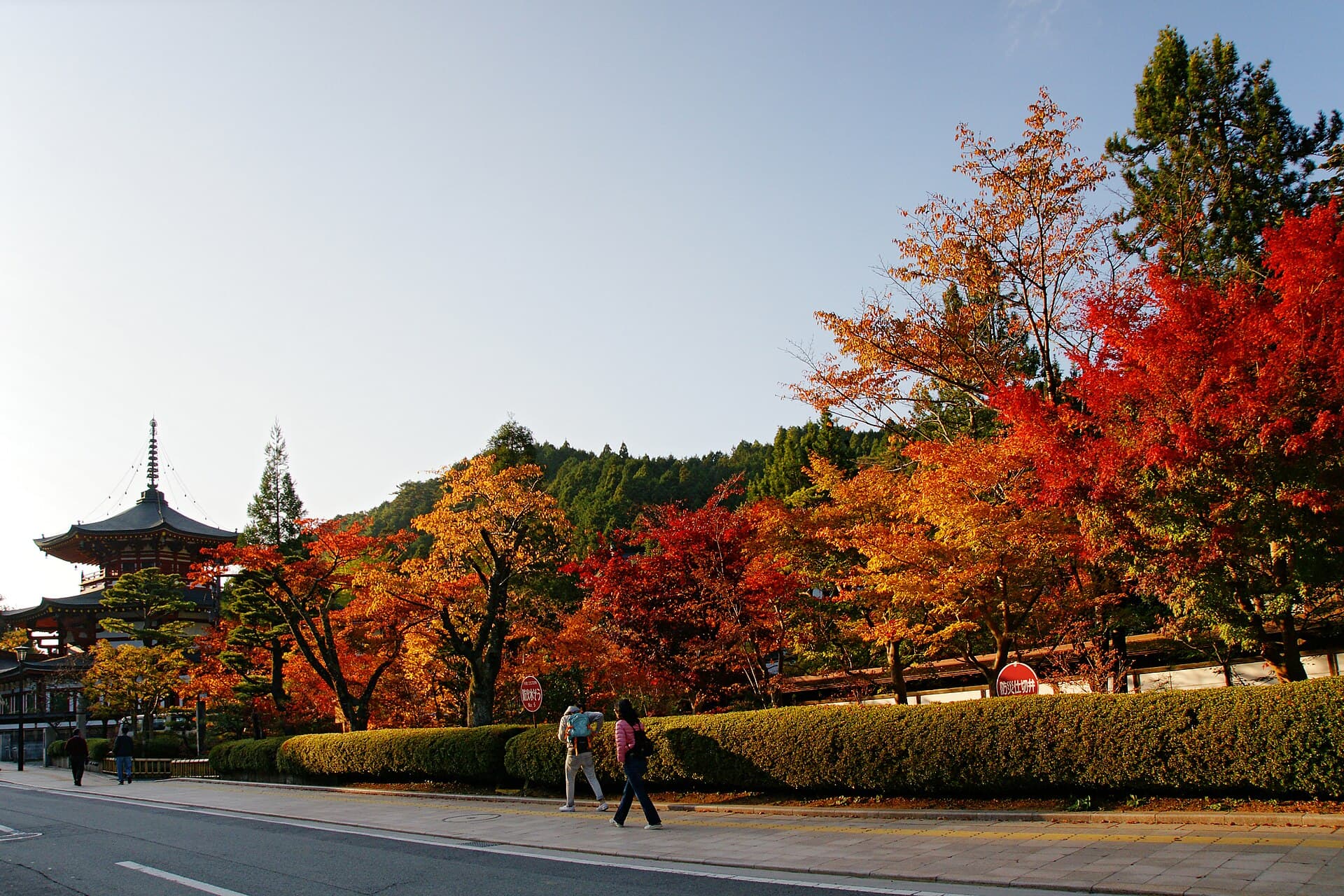高野山の宿坊と紅葉2026|ライトアップ・特別拝観・きっぷ
