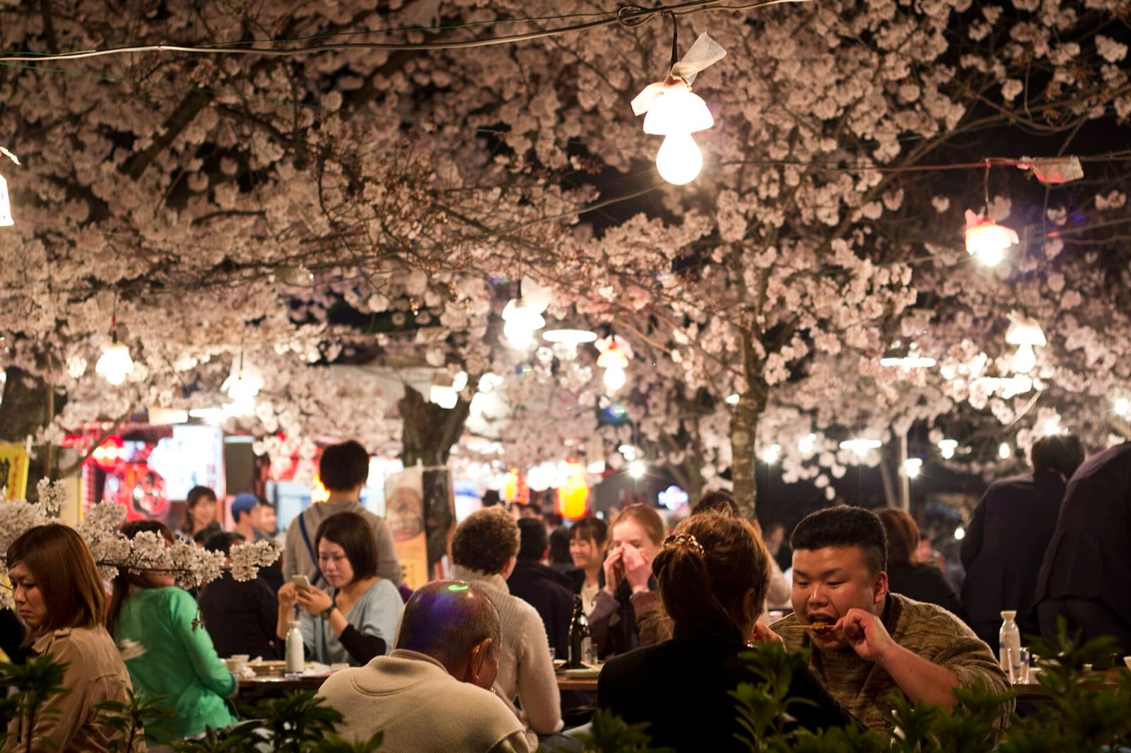 Skip Cherry Blossom Season on Your First Trip to Japan