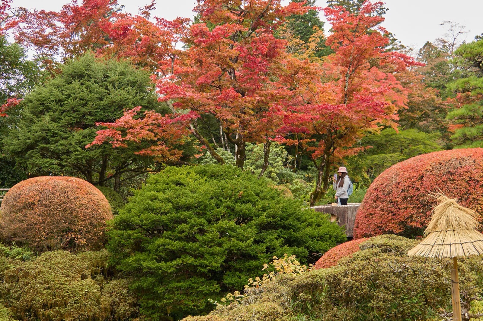 2026年10月の日本|気候・紅葉・台風・やること