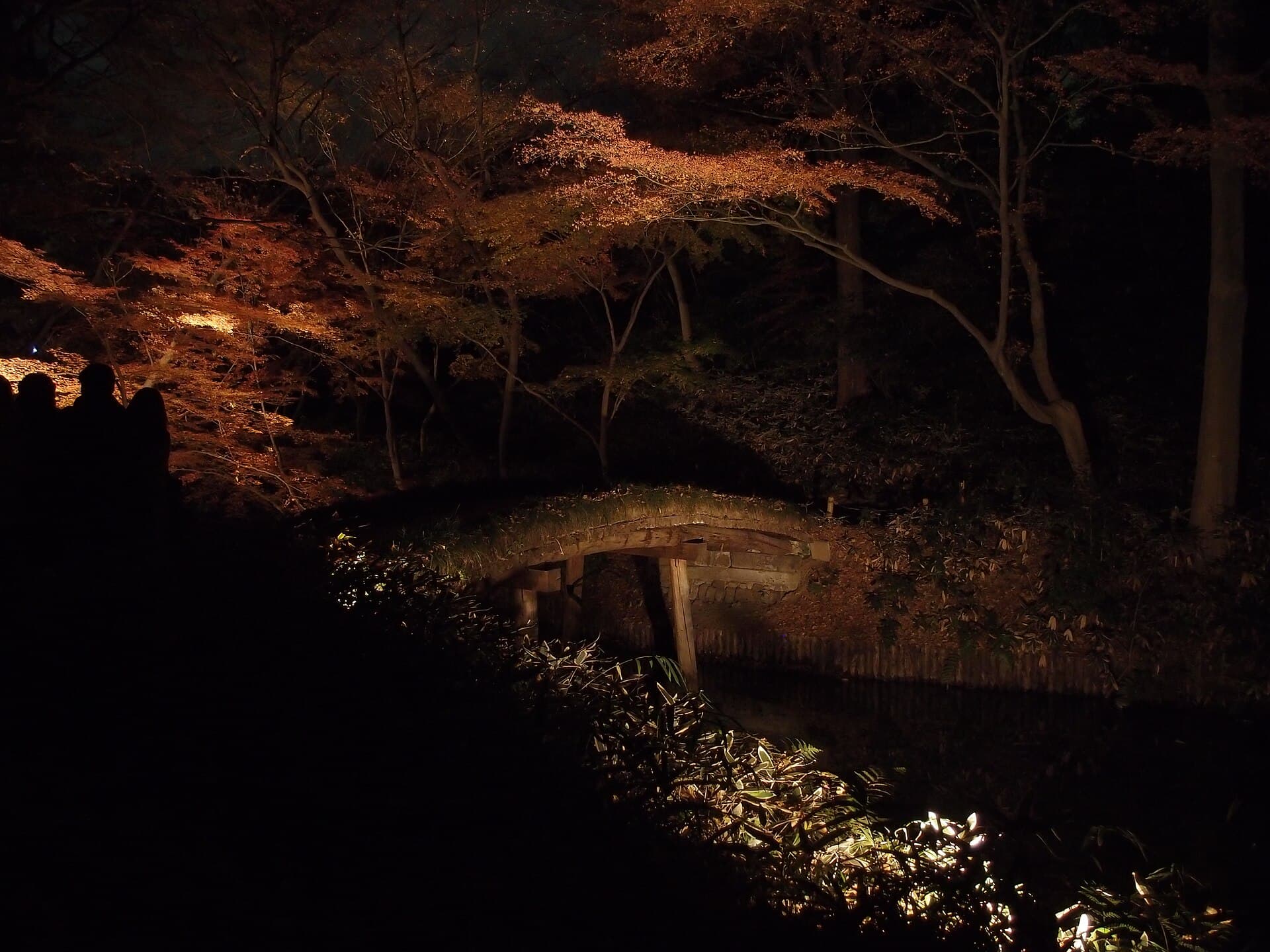 六義園の夜間特別観賞。券を持っていても、混雑時は入園待ちが出る
