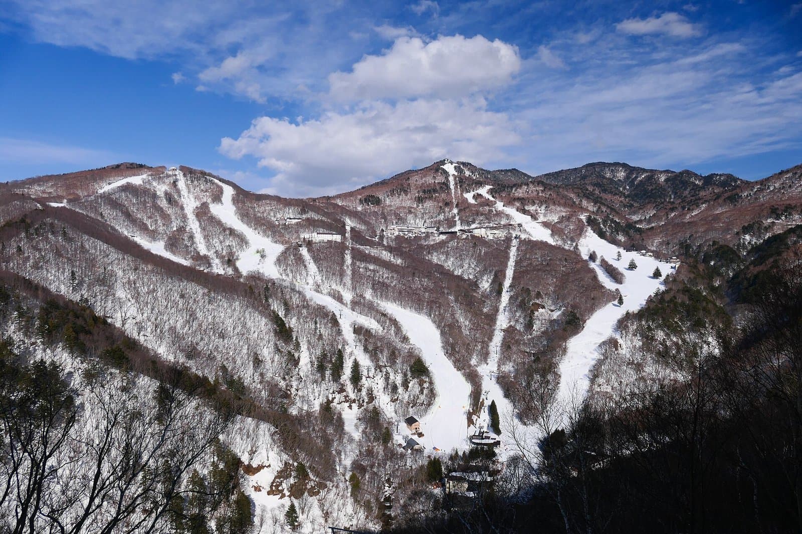 西舘山・発哺ブナ平方面のコース