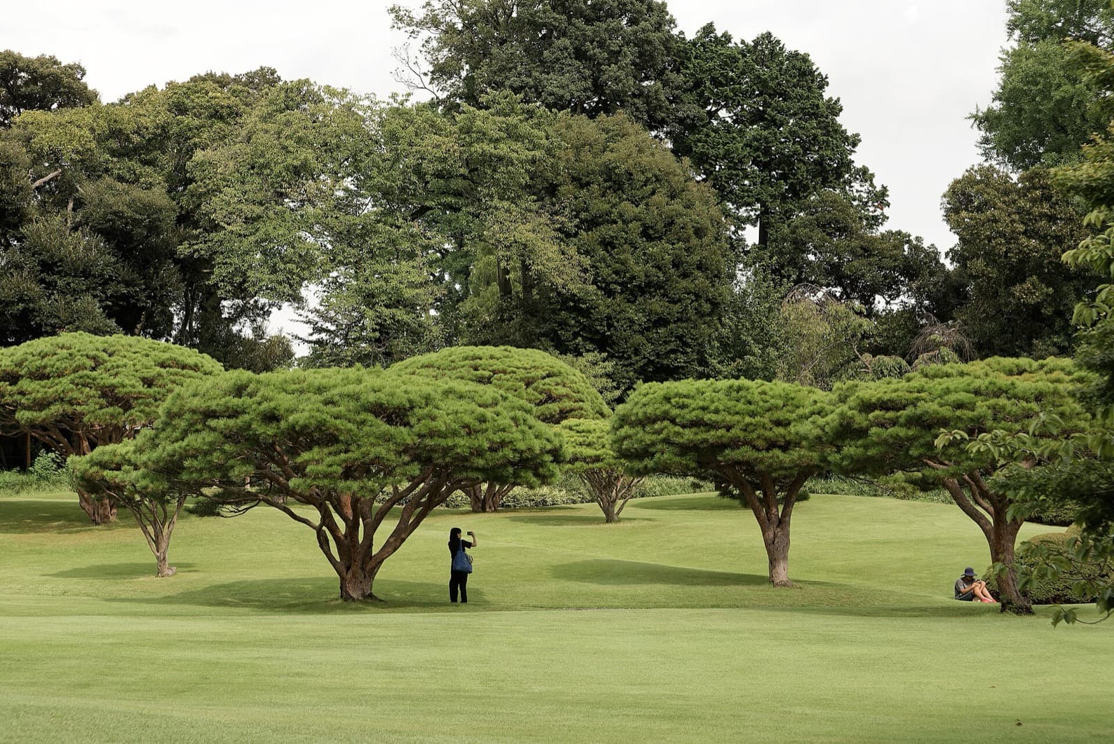 東京の庭園・公園おすすめ15選|日本庭園から都市公園まで