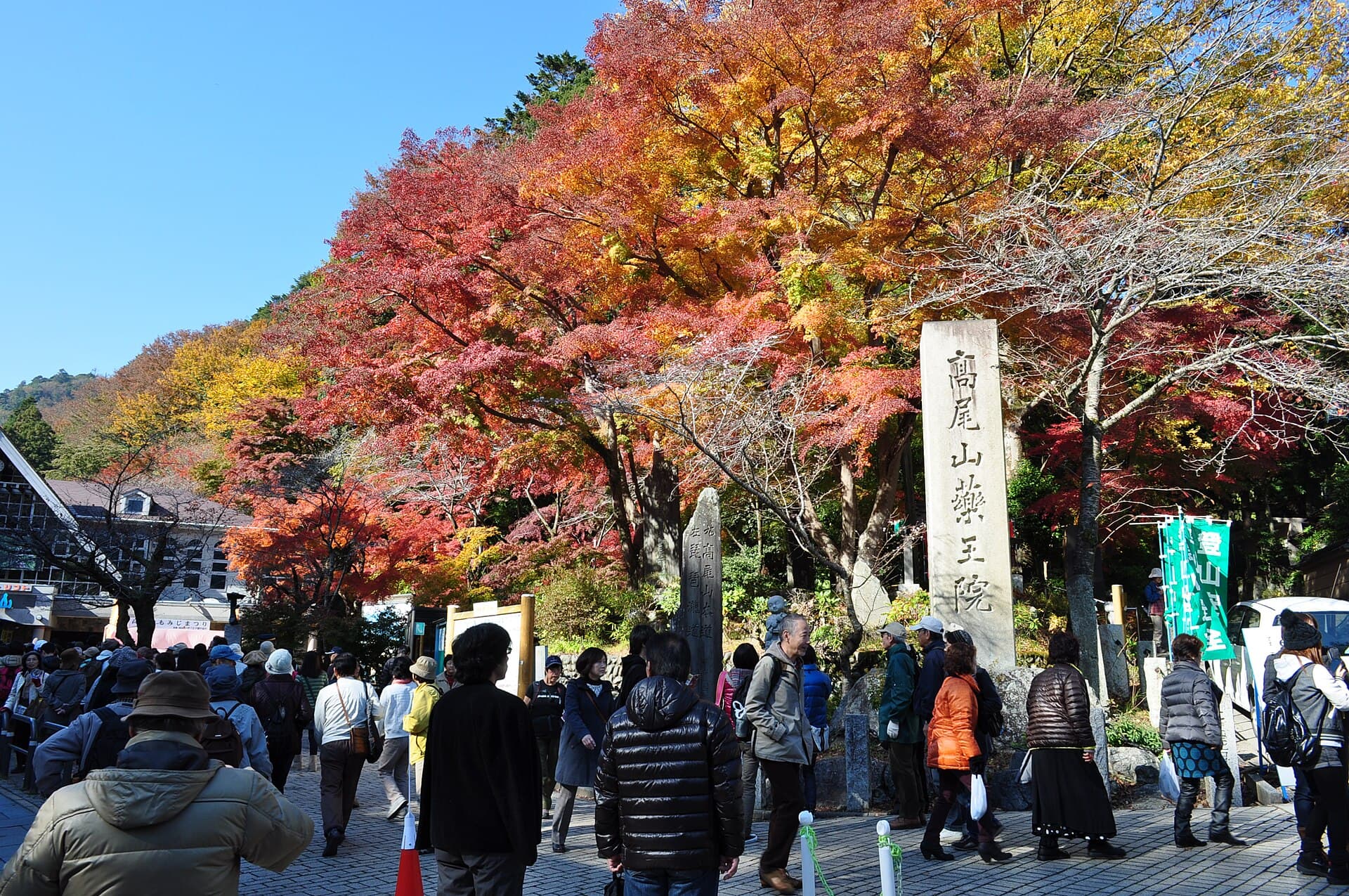 Mount Takao Autumn Crowds 2026: The Cable Car Queue