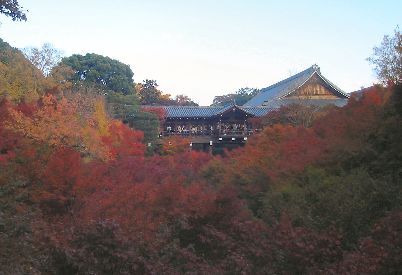 Kyoto Autumn Foliage 2026: Peak Dates, Best Temples, Crowd Tips