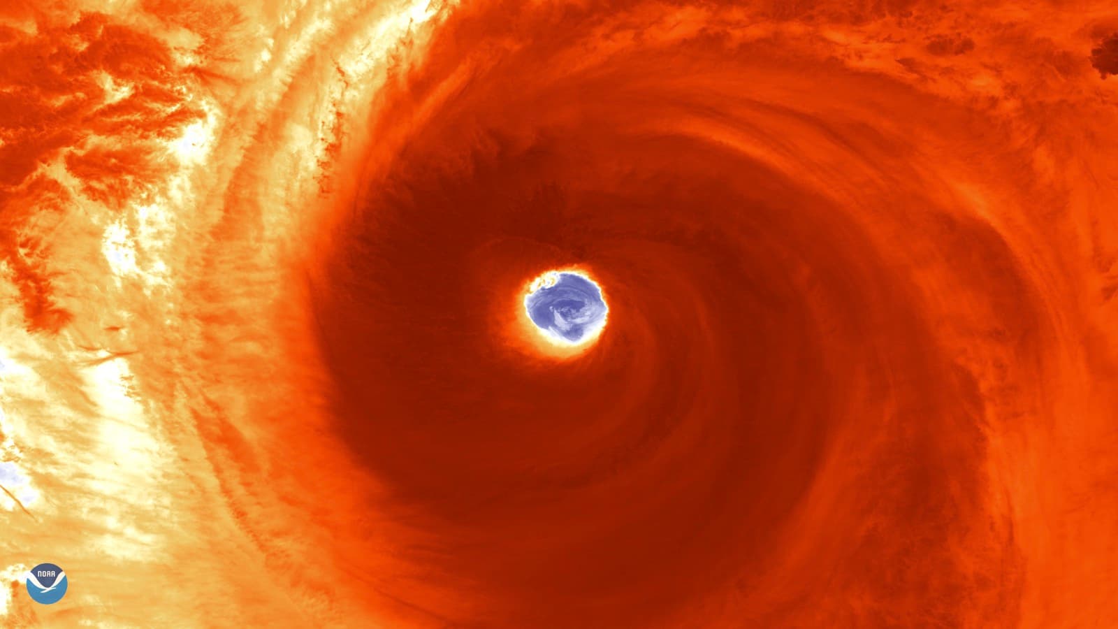 Earthquakes and Typhoons in Japan: What Tourists Should Do