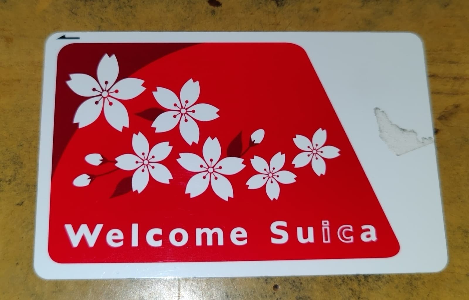 Suica vs Pasmo: Complete IC Card Guide for Japan 2026