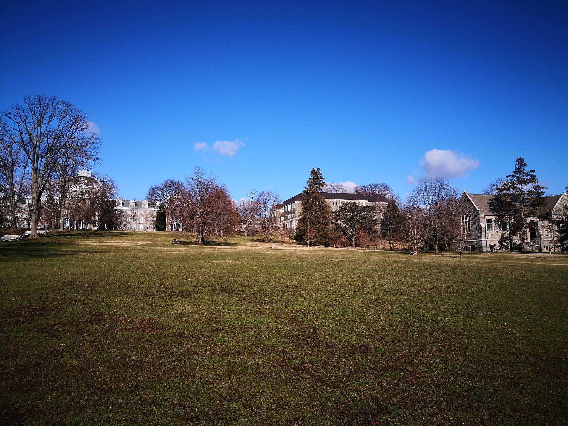 The lawn by Parrish Hall at Swarthmore College